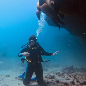 buceo con lobo marino en tijeretas