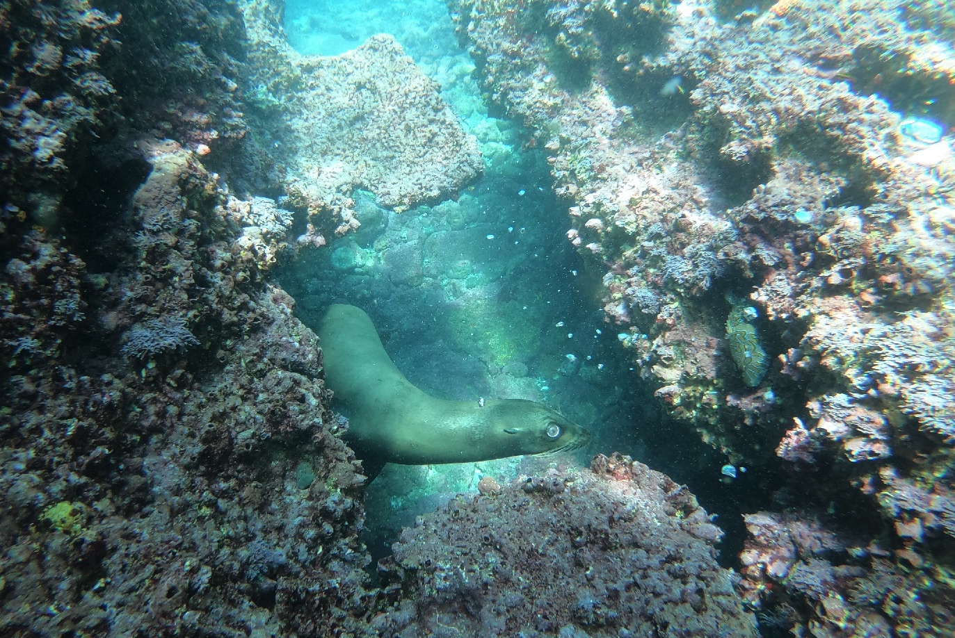 Española Island