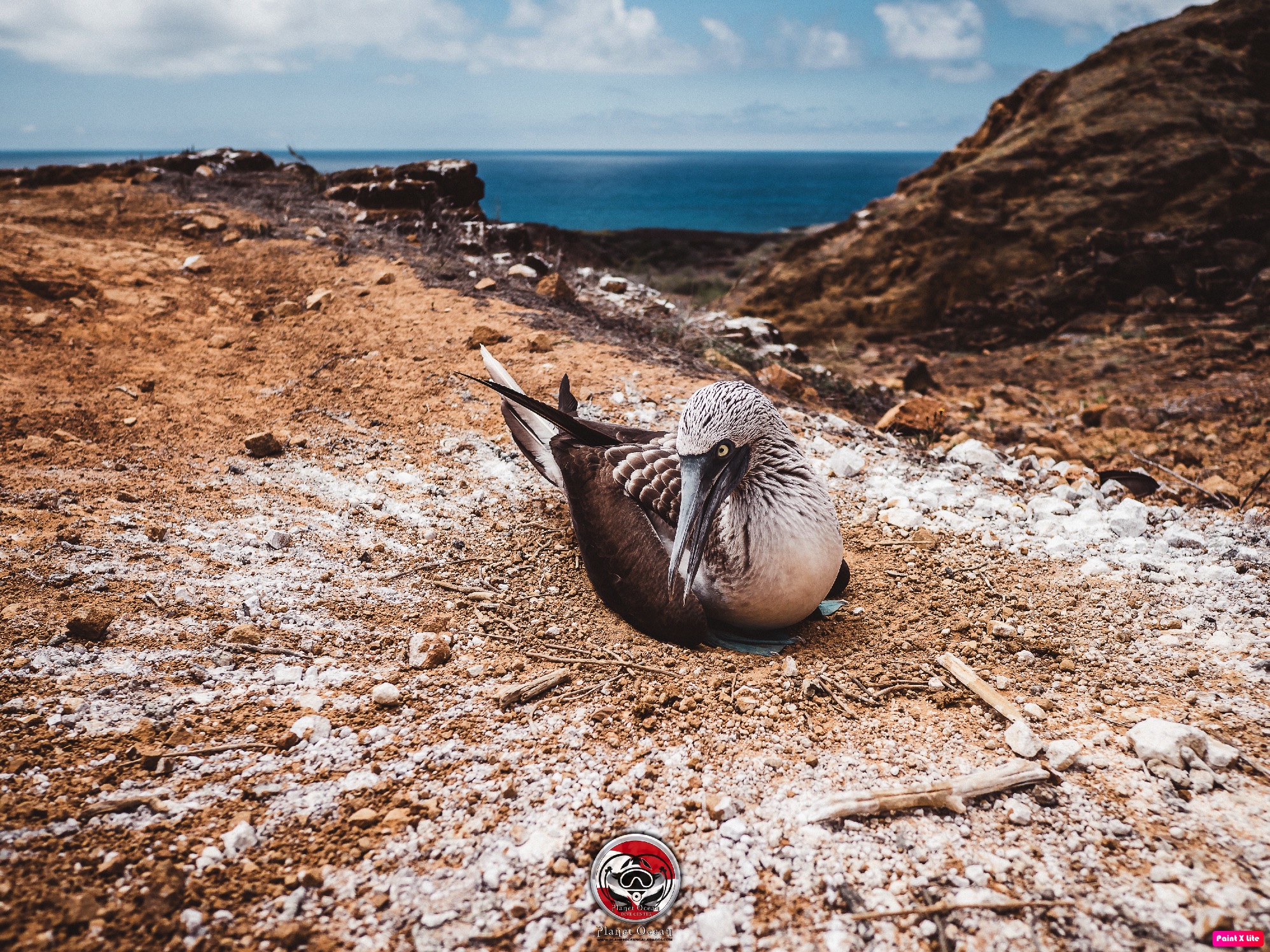 Lobos Islands