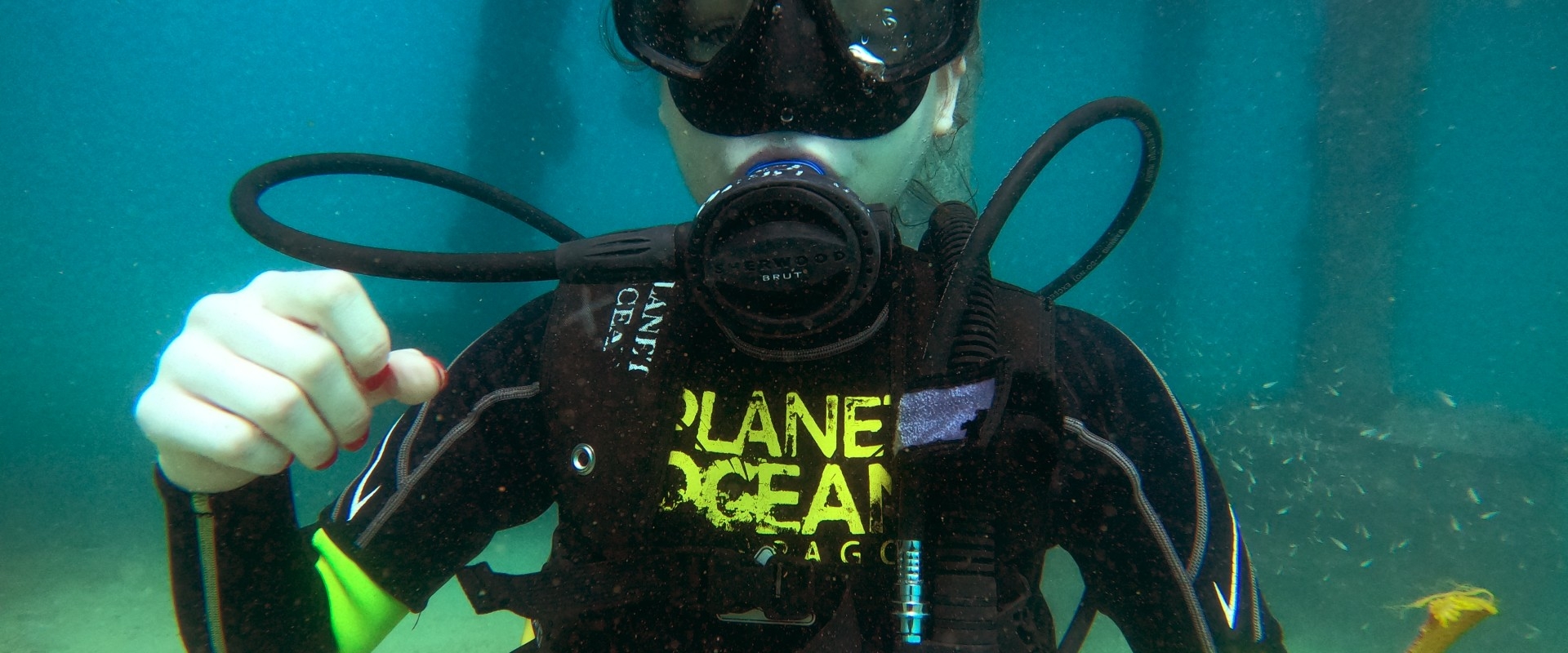 Scuba Diving Courses