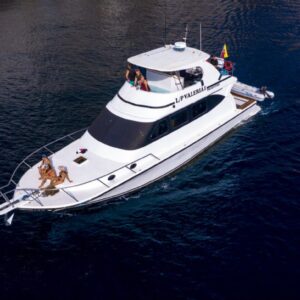 Daily Tour Boat