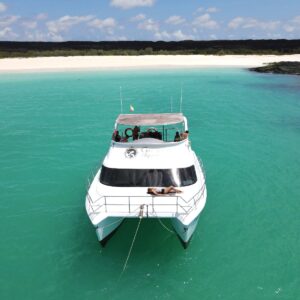 Daily Tour Boat